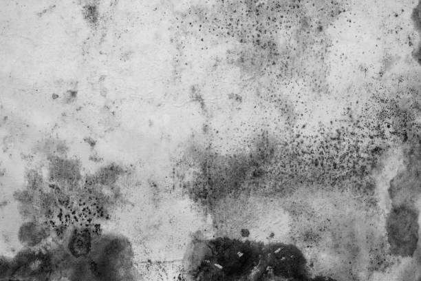 istock Distressed overlay texture of cracked concrete, stone or asphalt 1320294622