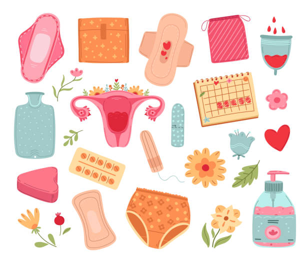 frauenhygiene. menstruationswerkzeuge, damen-sanitärpads und tampon. periodenkalender, null abfall menstruationsschutz zubehör genau vektor-set - menstruation gesundheitswesen und medizin stock-grafiken, -clipart, -cartoons und -symbole