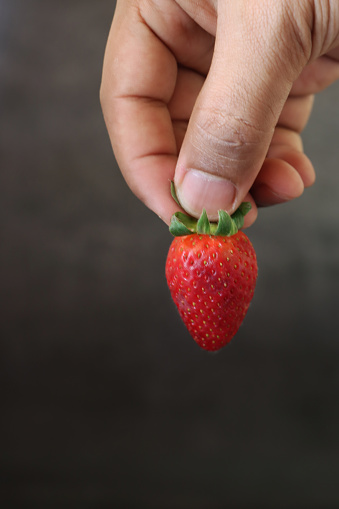 Stock photo showing a single red, ripe strawberry fruit that has been pictured isolated against a black background, with the green calyx and stalk remaining attached to the berry. Strawberries are easy to grow, in pots, hanging baskets or in the soil, being rich in vitamins and antioxidants.