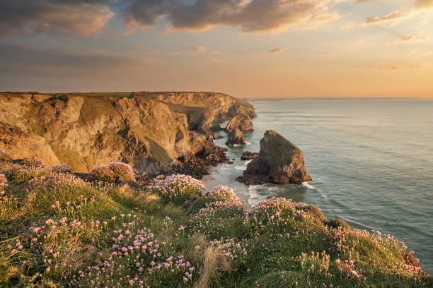 istock Beautiful landscape image during Spring golden hour on Cornwall coastline at Bedruthan Steps 1320296749