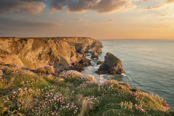 Beautiful landscape image during Spring golden hour on Cornwall coastline at Bedruthan Steps Stunning landscape image during golden hour on Cornwall coastline at Bedruthan Steps cornwall england stock pictures, royalty-free photos & images