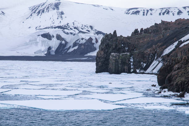 Seal lying on ice sheet with volcanic Deception island in background