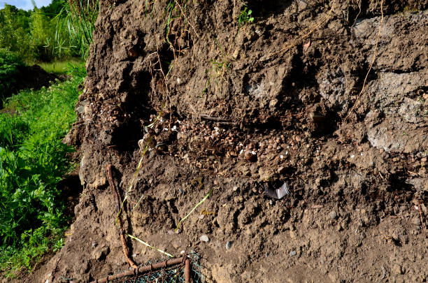 istock anthropocene soils with layers of waste layered in a soil probe. plastics characterize the hectic period of wild teasing and littering. 1320301148