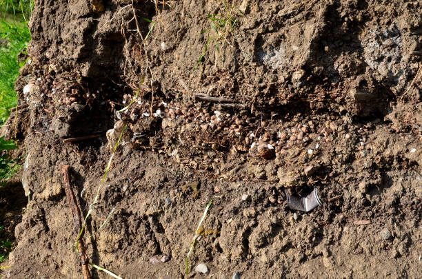 istock anthropocene soils with layers of waste layered in a soil probe. plastics characterize the hectic period of wild teasing and littering. 1320301172