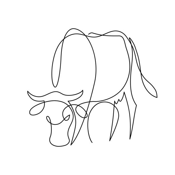 Cow grazing Cow on pasture in continuous line art drawing style. Grazing cow minimalist black linear design isolated on white background. Vector illustration farm clipart stock illustrations