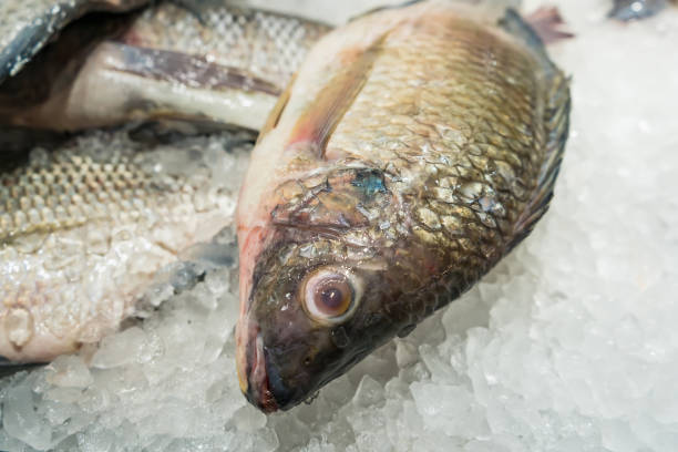 istock Fresh fish on ice display in a supermarket. 1320309647