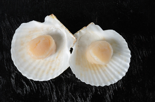 Two raw scallops in a shell on a dark wooden background. Selective focus.