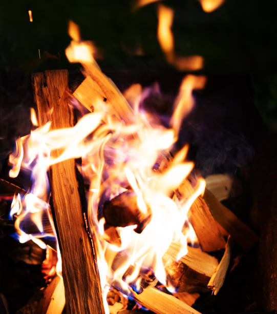 istock Burning wood logs, fire close-up on a dark background 1320310485