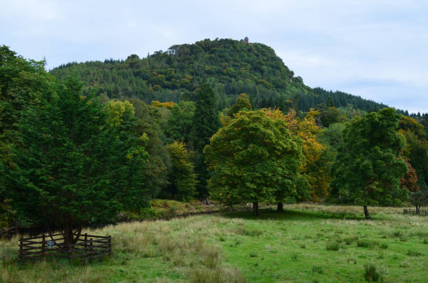 istock Lovely Scenic Landscape in Scottish Highlands 1320311718