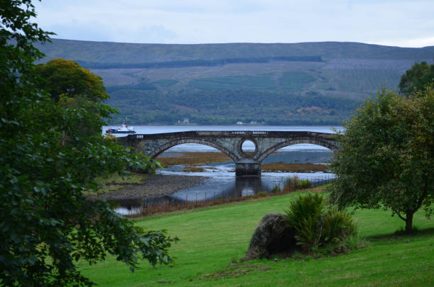 istock Lovely Scenic Landscape in Scottish Highlands 1320312068
