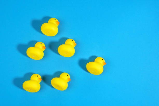 istock yellow rubber ducks on a blue background close-up. copy space 1320313205