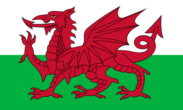 Official National Flag of Wales in Correct Colors and Proportions Official National Flag of Wales in Correct Colors and Proportions. Symbol of the country of Wales, which is part of the United Kingdom. Flat icon. Texture map. Vector illustration welsh culture stock illustrations