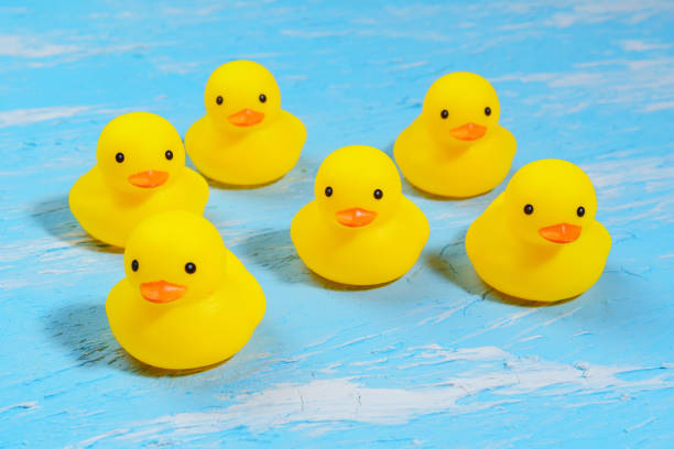istock yellow rubber ducks on a blue background. Minimal summer concept. 1320314259