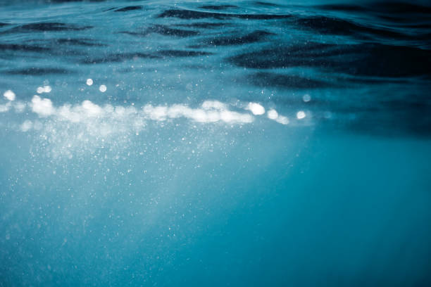istock Defocused underwater view of sea surface. 1320314467