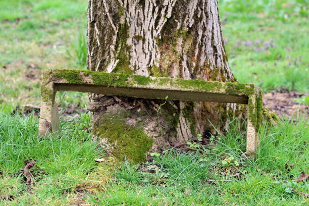 istock Old retro homemade makeshift broken vintage small concrete garden bench partially covered with light green moss in family house garden 1320314953
