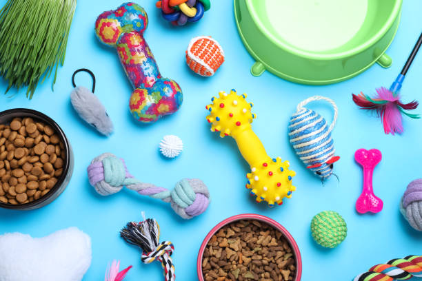 istock Flat lay composition with different pet toys and feeding bowls on light blue background 1320314960