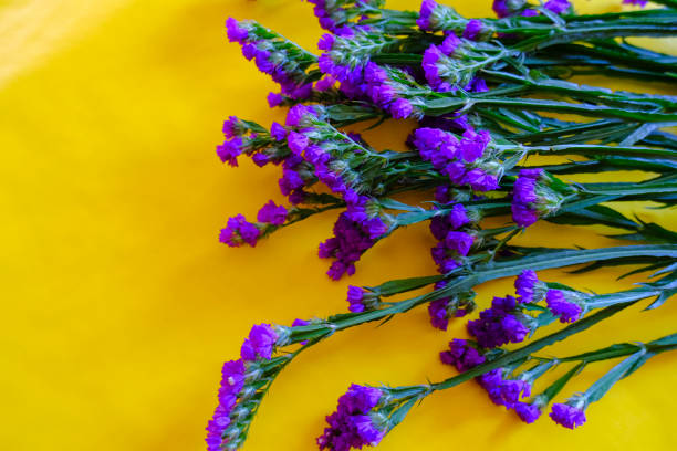 黄色の背景に紫色のポプリの花の花。トップ ビュー。スペースをコピーします。休日、誕生日、母の日のモックアップ。 - lavender dried plant lavender coloured bunch ストックフォトと画像