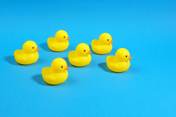 istock yellow rubber ducks on a blue background. Minimal summer concept. 1320315097