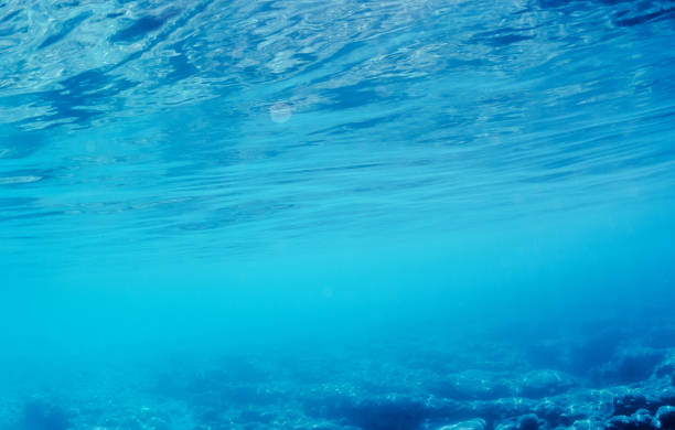 Defocused underwater view of bright sea surface and rock formations.