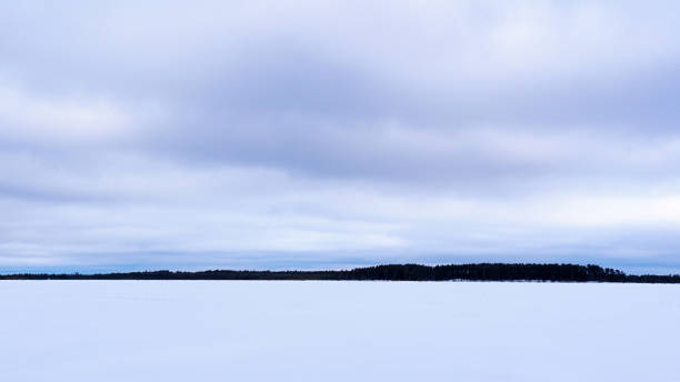 istock Winter landscape on a frozen lake, forest, flying clouds. 1320316033