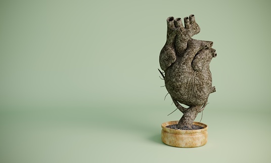 Human heart shaped bonsai tree which is lost leaves, symbolizing healthcare concepts and heart diseases. ( 3d render )