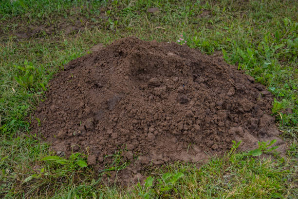 istock Stack of soil on the grass in the garden 1320316848