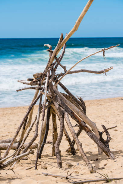 istock driftwood assembly on the beach 1320317248