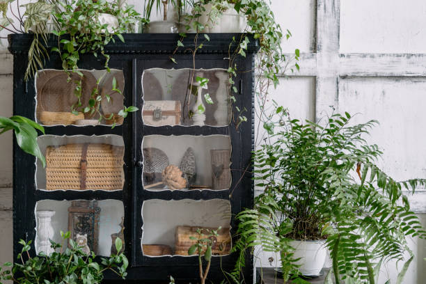 istock Black antique cabinet and many potted greenery 1320320422