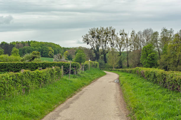 istock Hiking trail in a sloping landscape with grass, a hedge and green trees under a cloudy sky. 1320329700