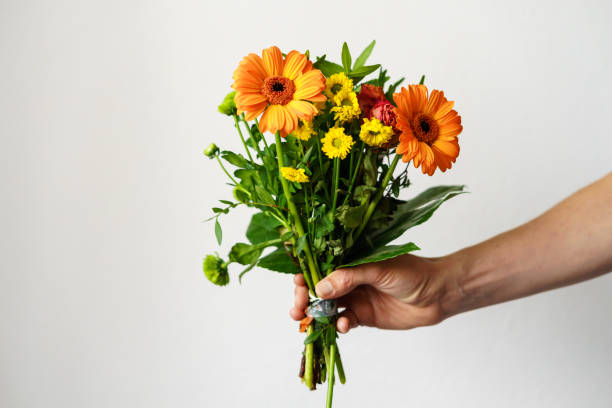 mano masculina sosteniendo un ramo de flores de colores, parte de. - hand holding flowers fotografías e imágenes de stock