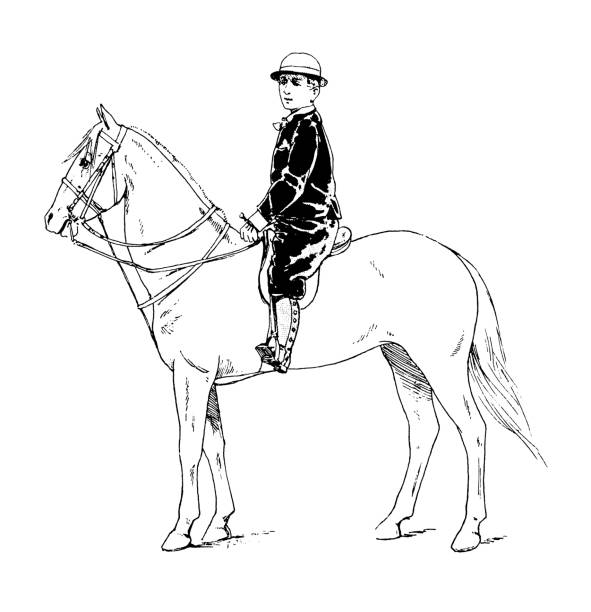 ilustrações de stock, clip art, desenhos animados e ícones de antique illustration of horse, knight and cavalry: prince imperial, 1866 - 1866