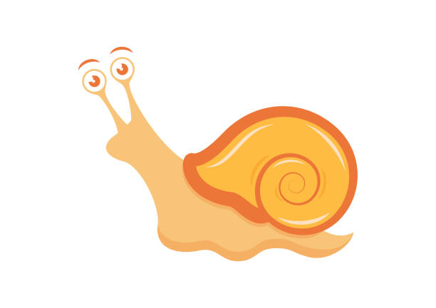 Slugs And Snails Cartoon Illustrations, Royalty-Free Vector Graphics & Clip  Art - iStock