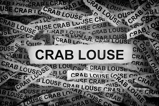 Crab Louse. Torn pieces of paper with the words Crab Louse. Black and white image. Closeup.