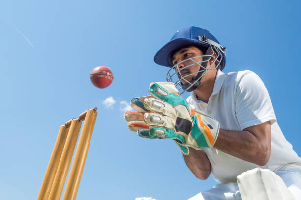 Wicketkeeper catching cricket ball Low angle view of young male wicketkeeper catching cricket ball on ground against sky. cricket stump photos stock pictures, royalty-free photos & images