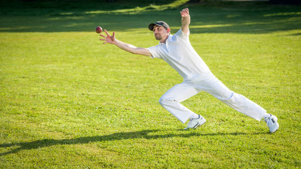 male fielder catching the ball - sport of cricket cricket player fielder sport imagens e fotografias de stock