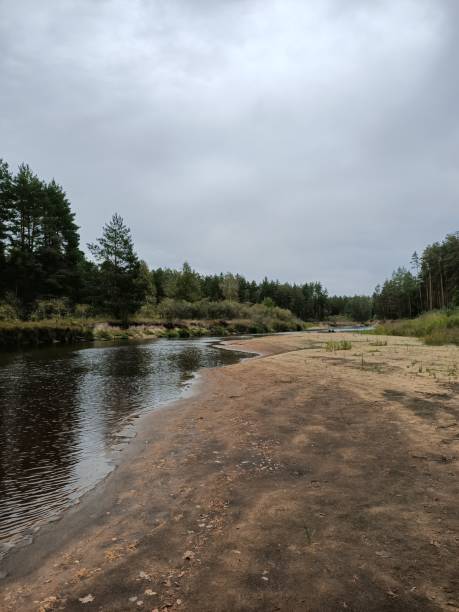 осенняя река в глубоком лесу - river water outdoors canyon стоковые фото и изображения