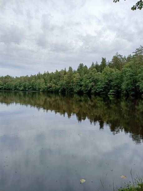 istock Autumn river in the park 1320342565