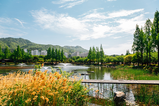 Yeonji park pond view in Gimhae, Korea