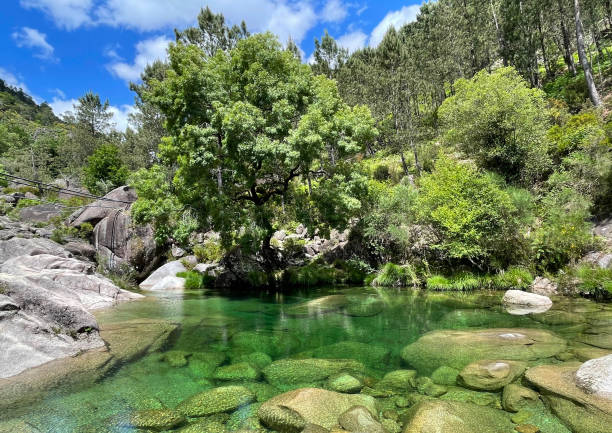 ペネダ・ジェレス国立公園 - passion mountain range mountain national park ストックフォトと画像