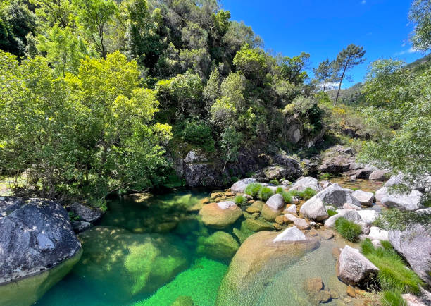 ペネダ・ジェレス国立公園 - passion mountain range mountain national park ストックフォトと画像