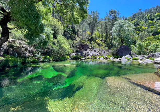 parque nacional peneda-gerês - área silvestre fotografías e imágenes de stock