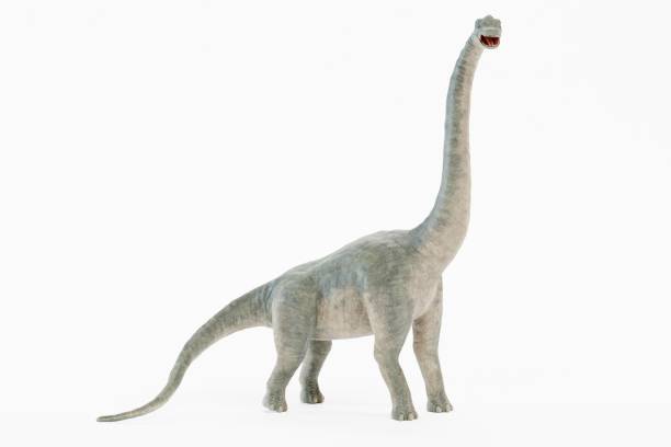 istock Realistic 3D Render of Brachiosaurus Dinosaur 1320349001