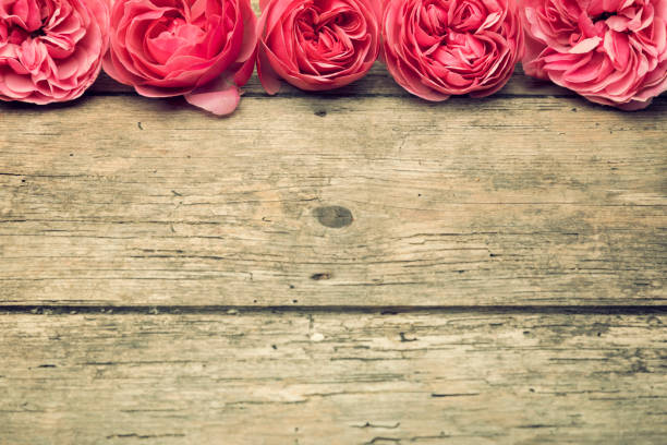istock Vintage background with pink roses border 1320349435