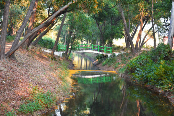 istock a water stream flowing between a forest with green tress and a bridge connecting it. 1320353551
