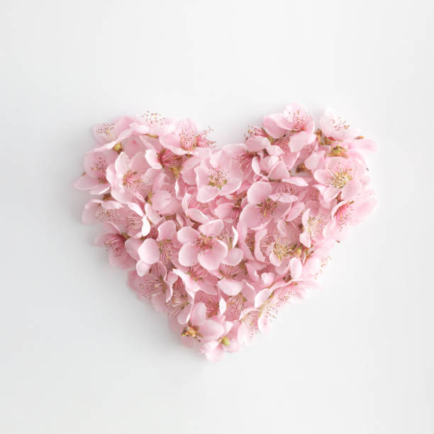 Heart shape made with natural spring flowers.