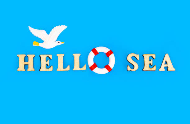 istock HELLO SEA arrangement on a blue background 1320355837