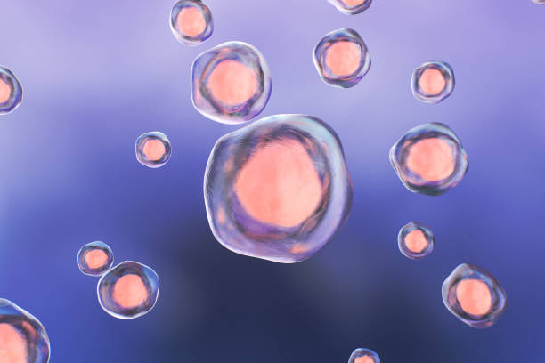 istock Human Cells on a Colorful Background 1320355940