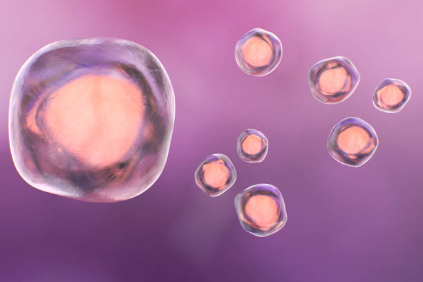 istock Human Cells on a Colorful Background 1320355943