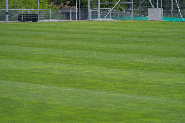 istock Fresh mowed football field at springtime. 1320356151
