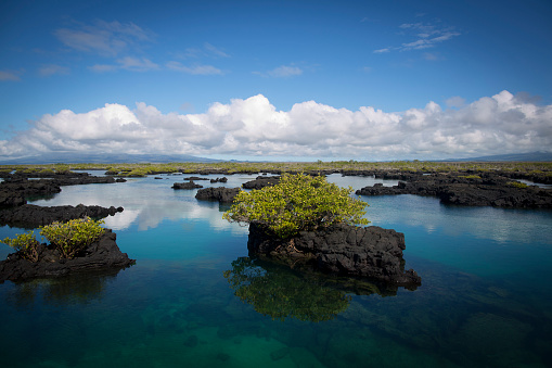 View of Isabela Island in Galapagos, Ecuador